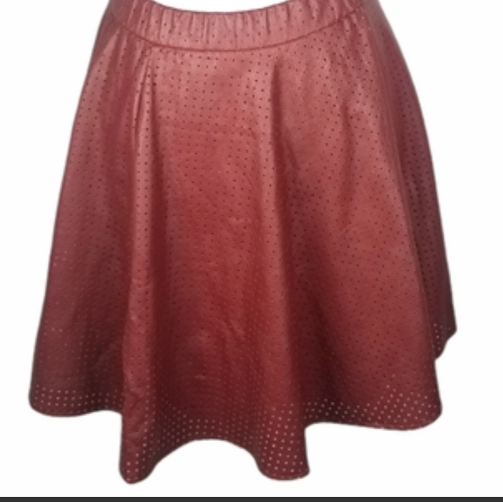 Anthropologie skirt